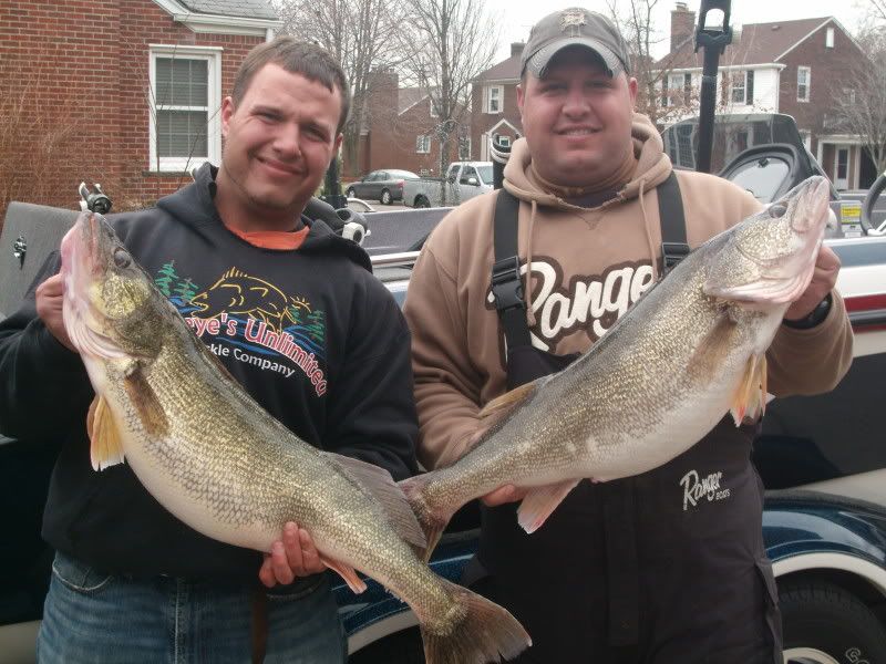 Boated another MONSTER SLOB 13.60 pounds Michigan Sportsman Forum