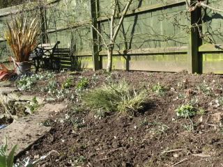 Garden016.jpg