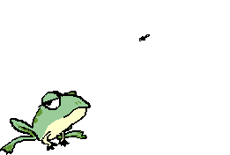 A frog