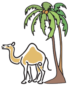 A camel