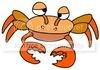 A crab