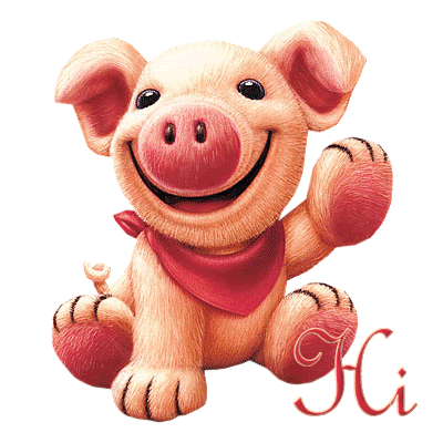 A pig
