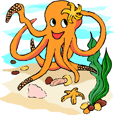 An octopus