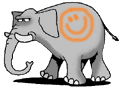 An elephant