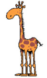 A giraffe