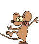 A mouse