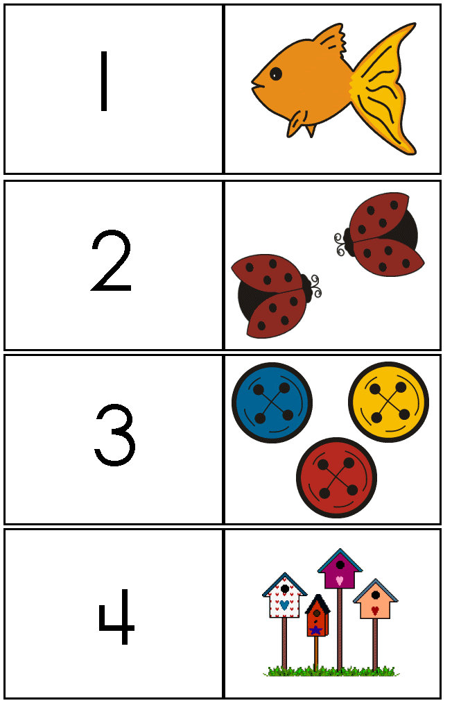 Numbers