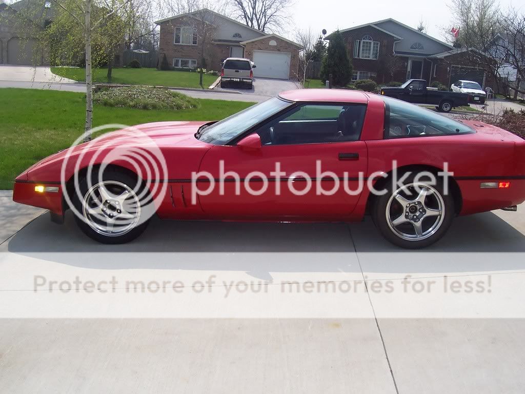 84' For Sale - CorvetteForum - Chevrolet Corvette Forum Discussion