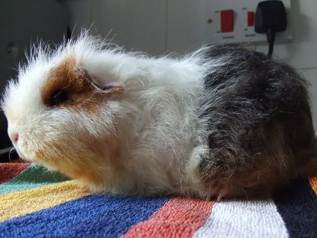 DSCF2048.jpg
