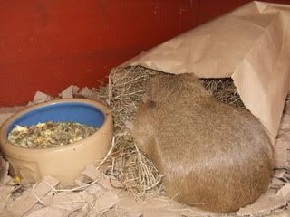 DSCF2826.jpg