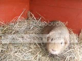 DSCF3039.jpg