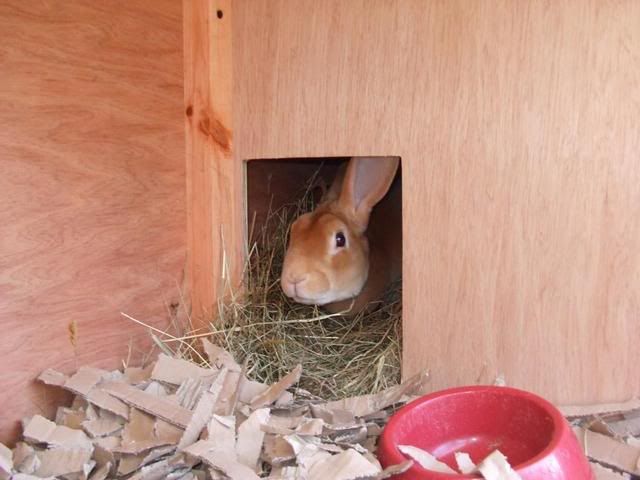 DSCF3047.jpg