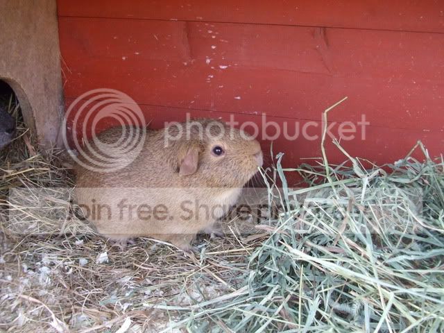 DSCF3118.jpg