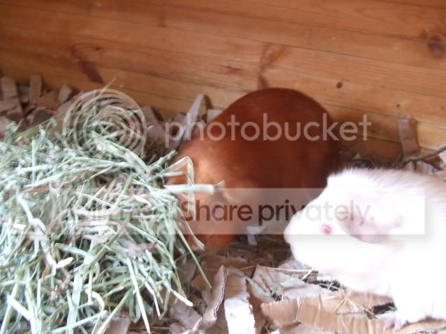 DSCF3124.jpg