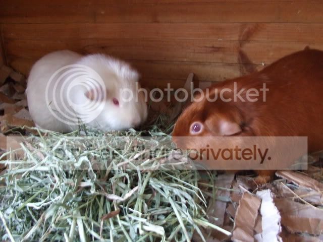 DSCF3128.jpg