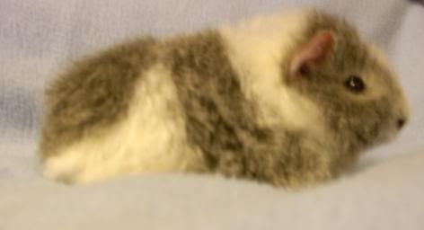 Lara6weeks2.jpg