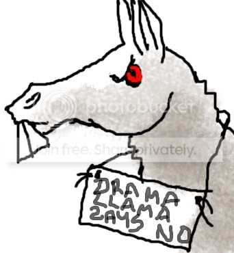 llama.jpg
