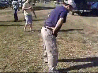 turtle-kick.gif