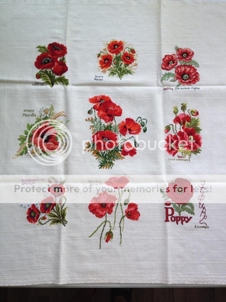 photo 00838B2A-A8A0-4FD6-A7F3-78084811D3FB.jpg