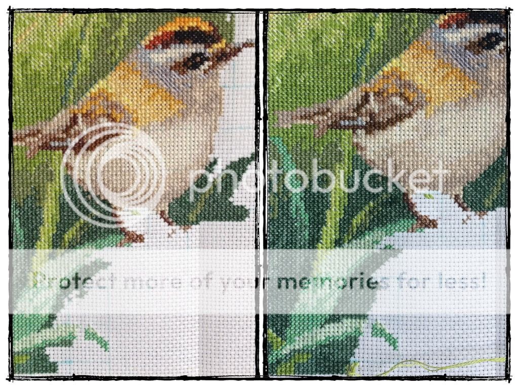  photo 0607831B-62A8-473E-871E-071BE5BBA309.jpg