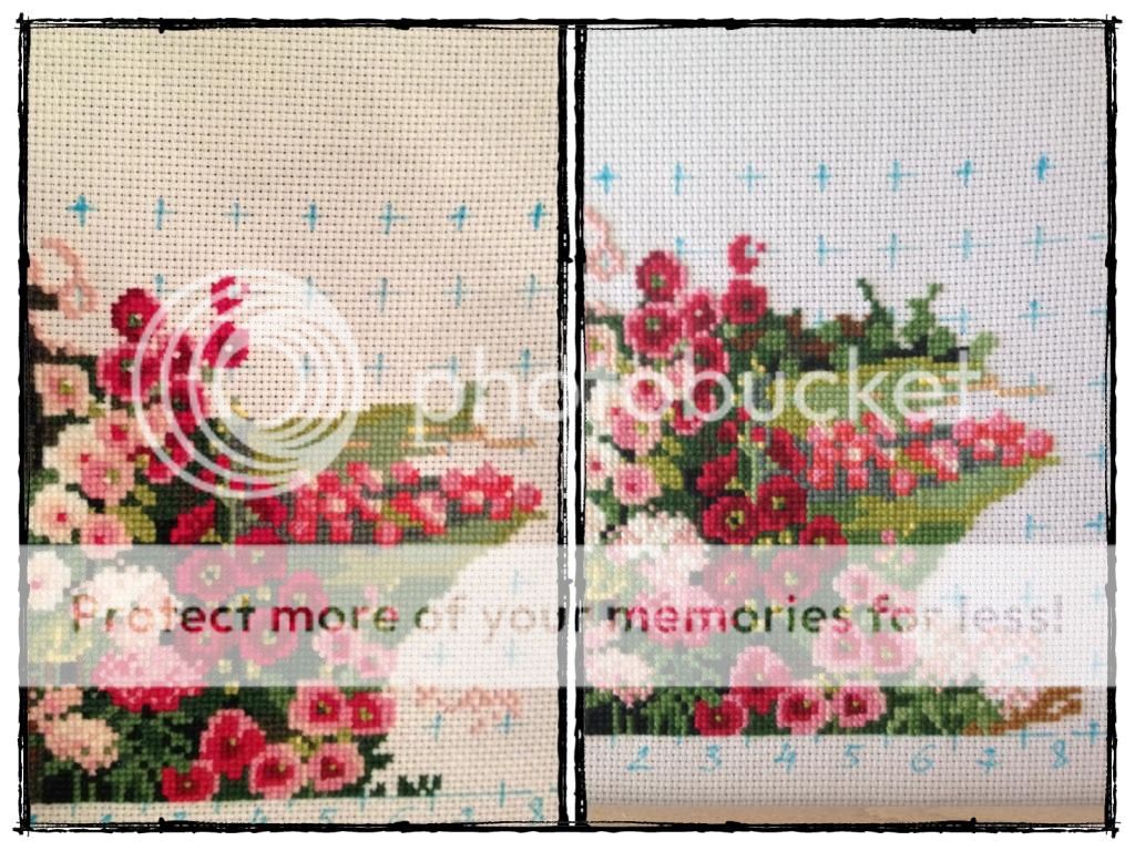 photo 0BA93E31-6AA8-4C19-84E1-A50651DCB12E.jpg