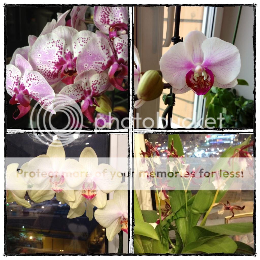 photo 12F67FC7-383F-4C28-9FFE-DB502FF31306.jpg