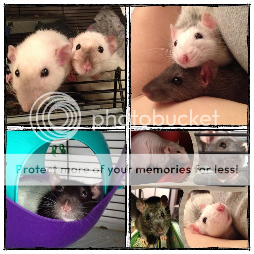 photo 165E4092-500C-499E-9EC4-61820017D9FF.jpg