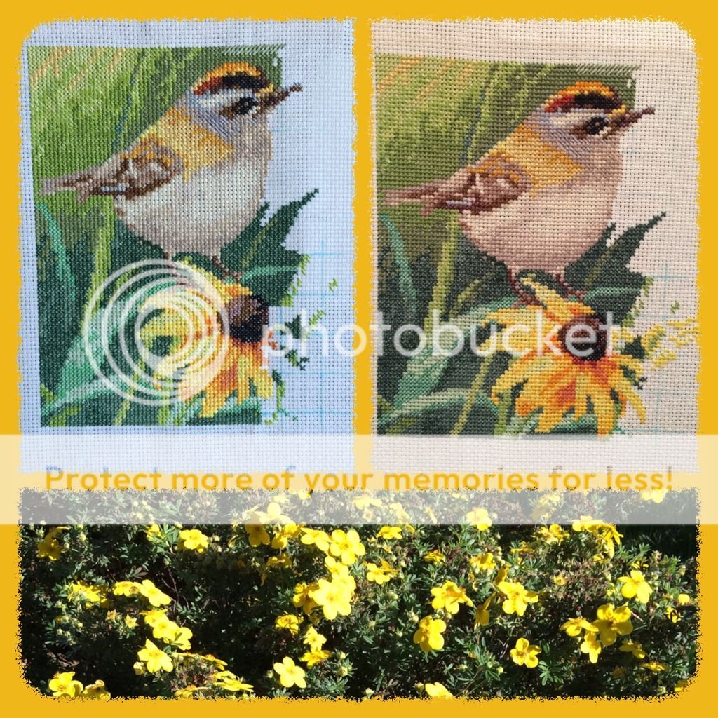  photo 1E2D9266-D11E-4D4F-B98F-A9709D87FFBF.jpg