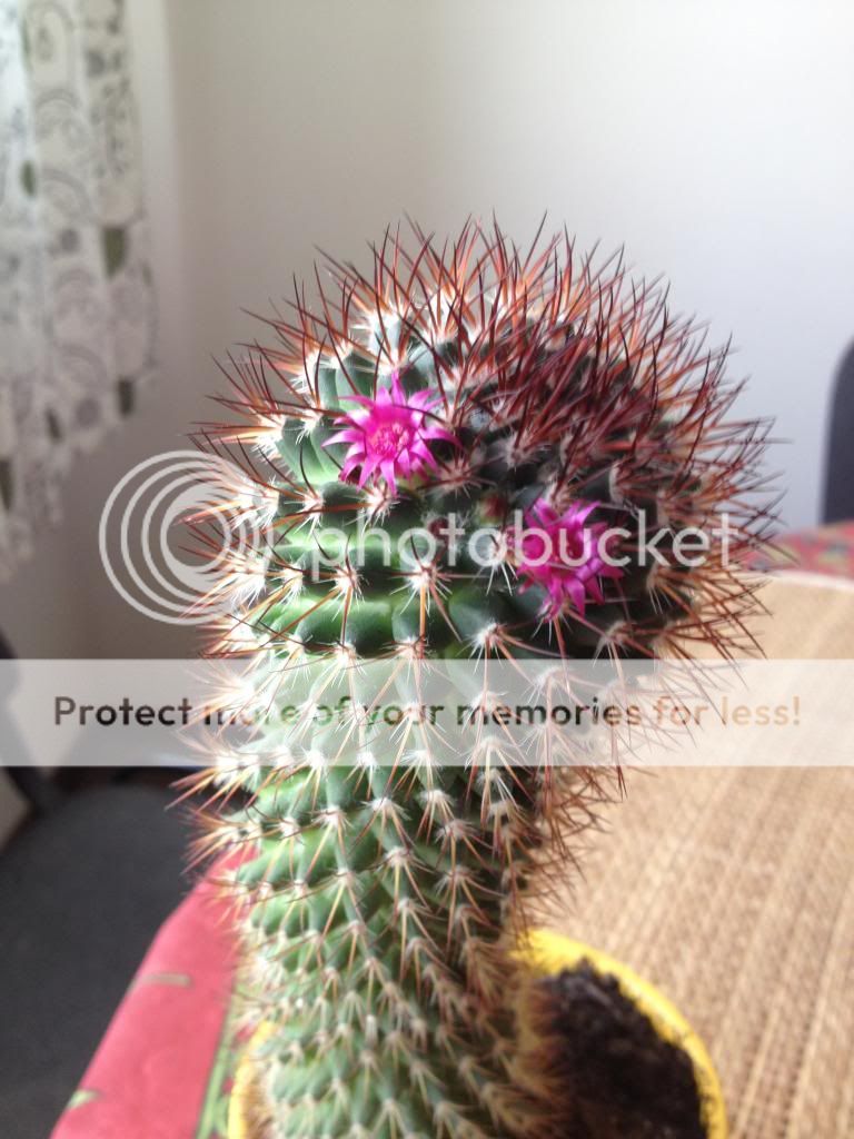 photo 22FE7122-FBB9-4091-892B-4999A7792D50.jpg