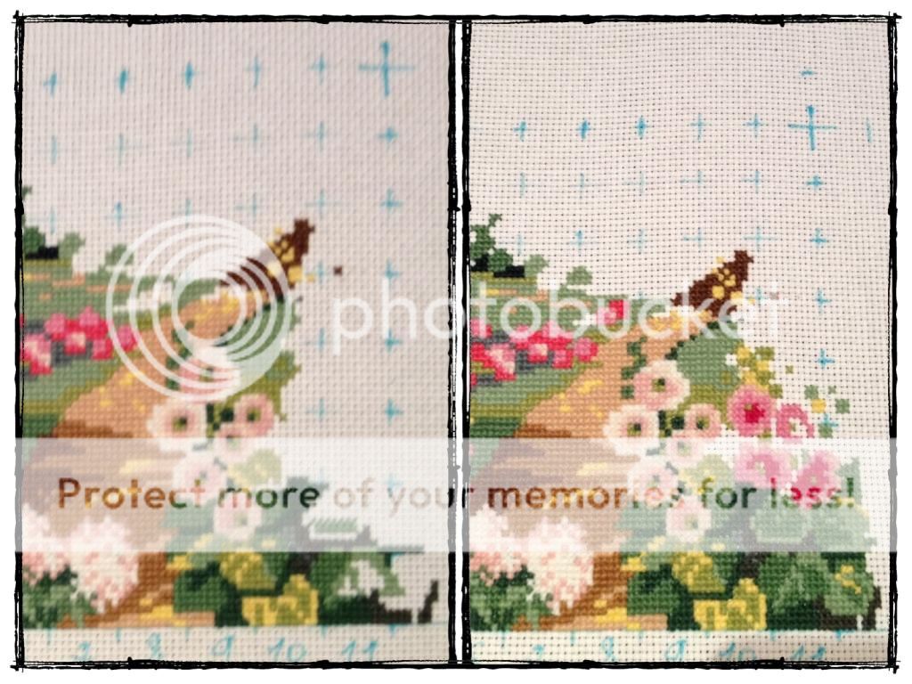 photo 3C47E685-7FC9-4420-956A-DD1E4FE897FD.jpg