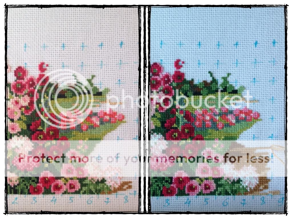 photo 413E54CA-7BB2-474A-A3BC-945ED2E6763D.jpg