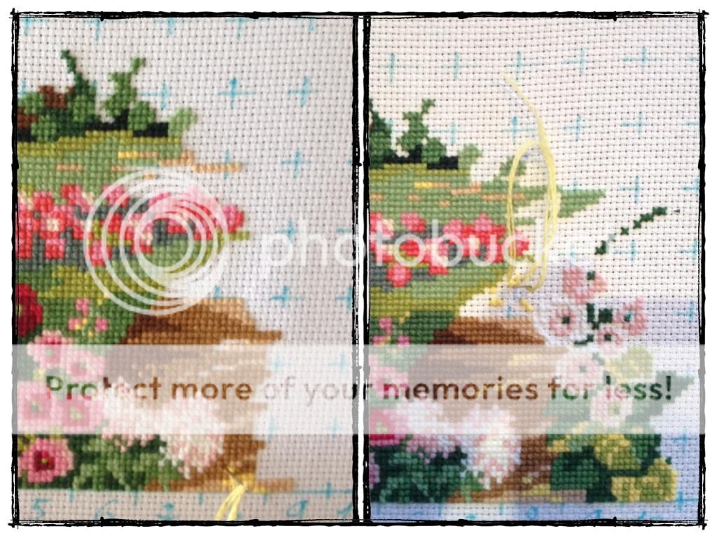 photo 5FC55D5A-E7D2-44B9-8D7C-7722B61F8F23.jpg