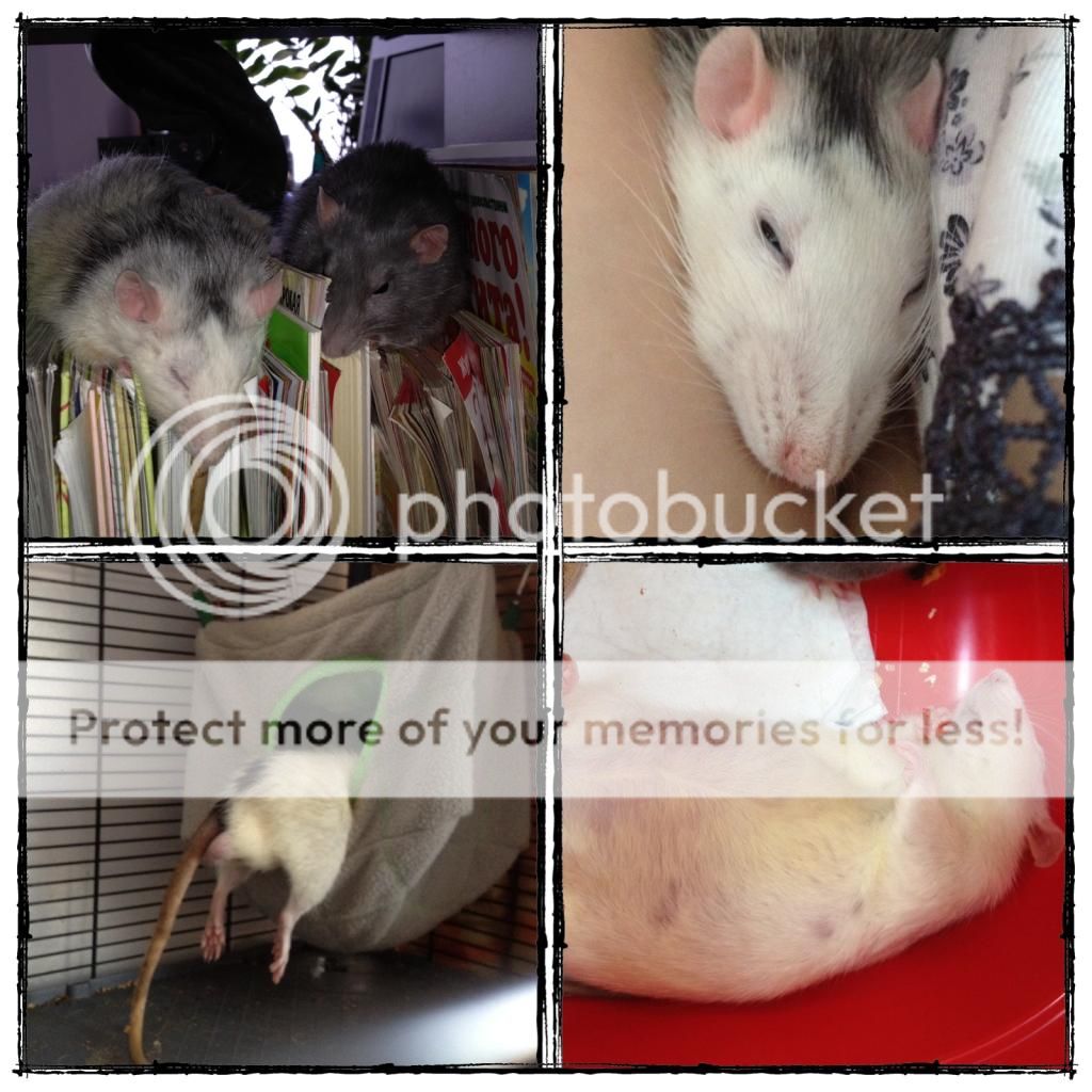 photo 68AACE76-8A8D-48B0-B4C4-76BA1CD9211C.jpg