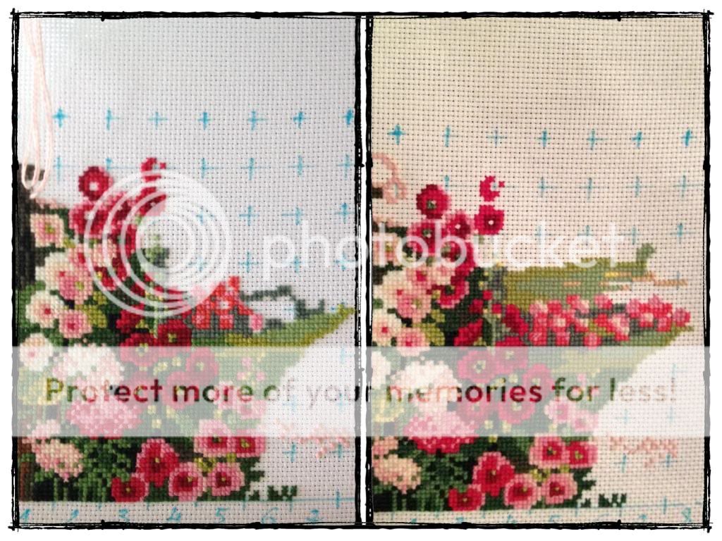 photo CA4E5137-81CD-4D4C-9402-E5B3B775D7FA.jpg