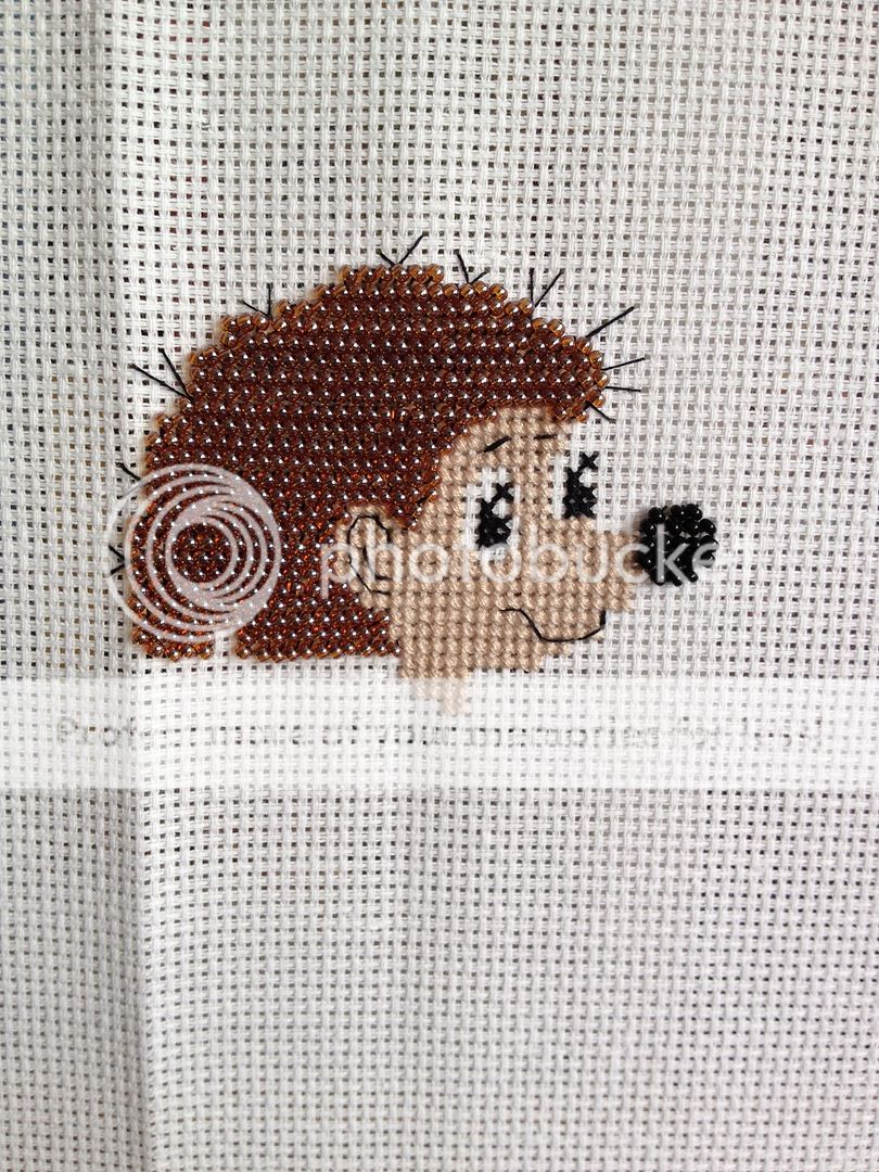 photo E65BB361-415D-490F-A286-1F15583E40C0.jpg