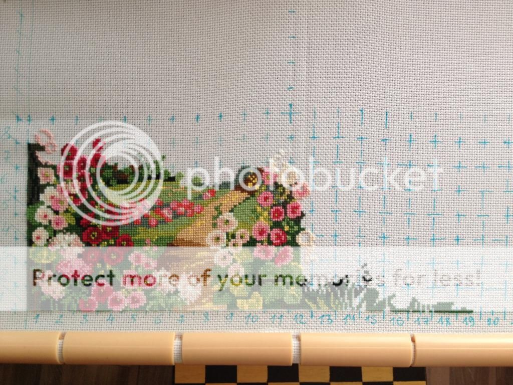 photo F34350C3-2FE3-462A-AB61-DAB9B167AA31.jpg