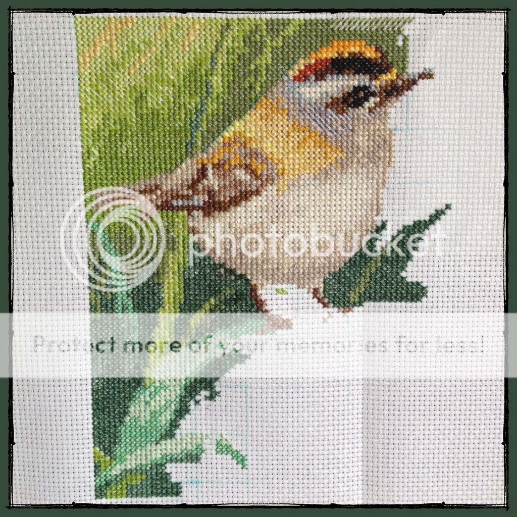  photo F7D561C9-D2DC-4737-B0C7-B1586A493D69.jpg