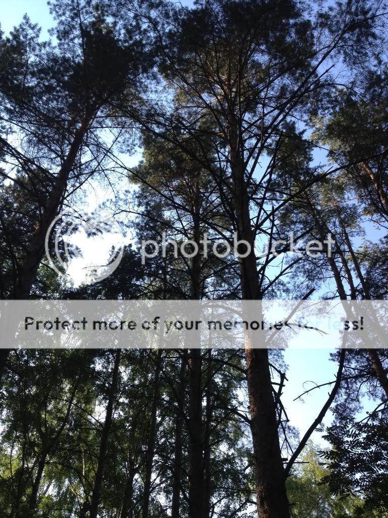 Photobucket Pictures, Images and Photos