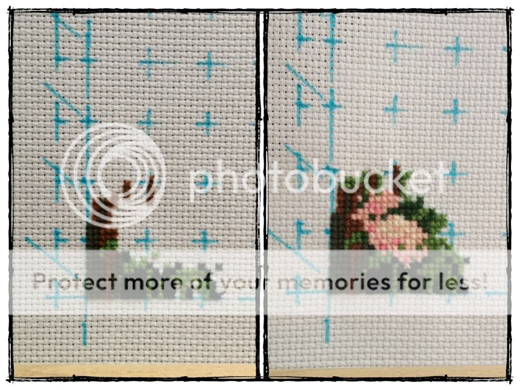 Photobucket Pictures, Images and Photos