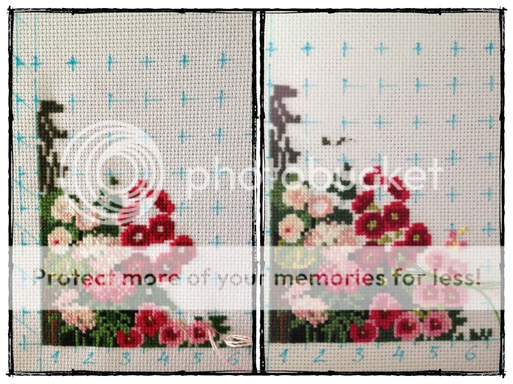 Photobucket Pictures, Images and Photos