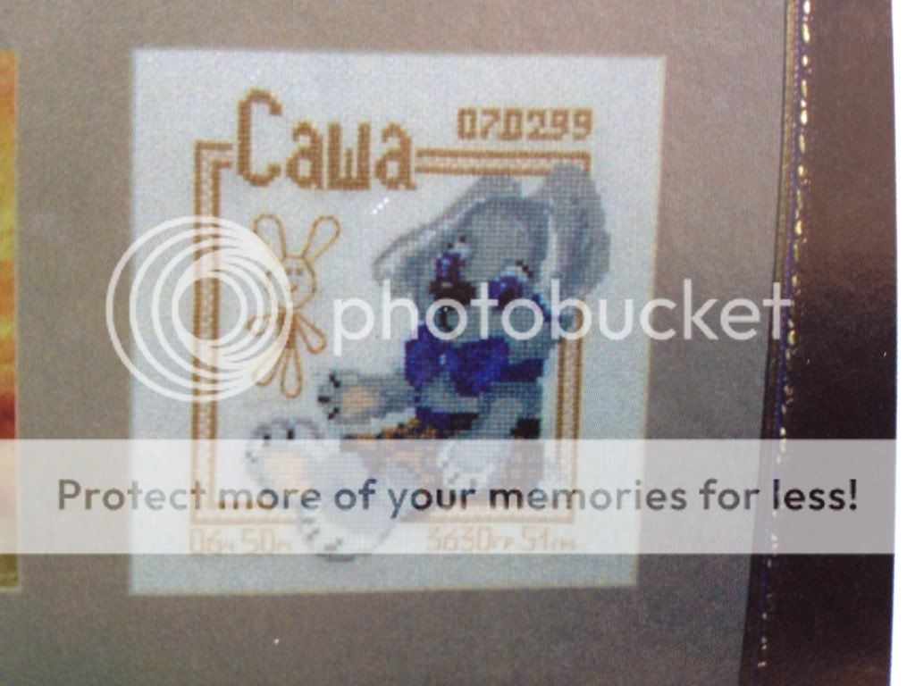 Photobucket Pictures, Images and Photos