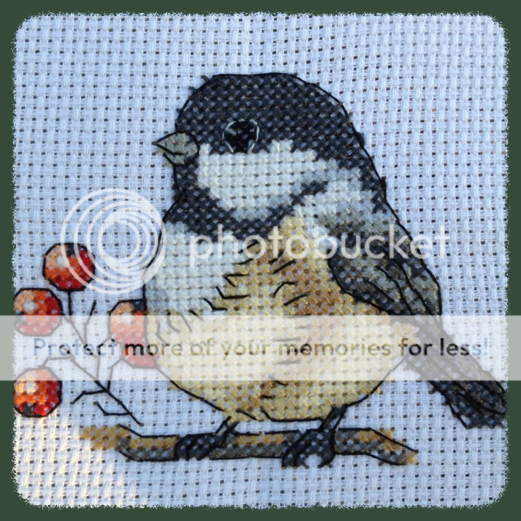 Photobucket Pictures, Images and Photos