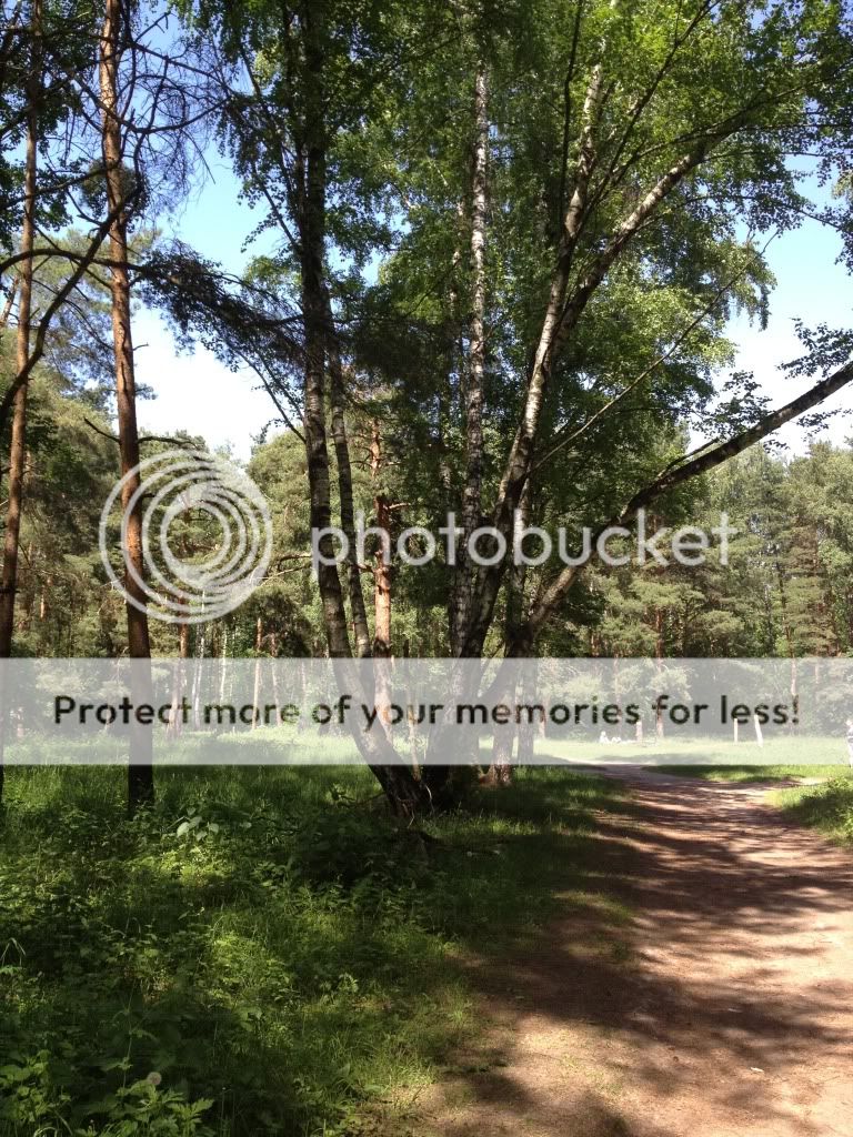 Photobucket Pictures, Images and Photos