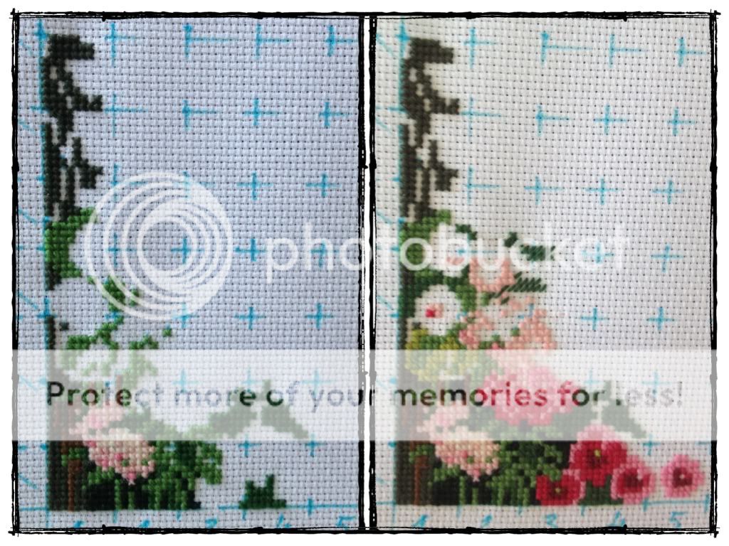 Photobucket Pictures, Images and Photos